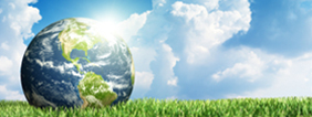 Globe on grass 282